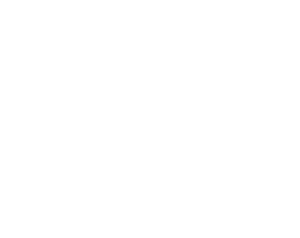 iLand Group logo